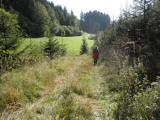  Wanderweg im Tal des Katzenbachs 