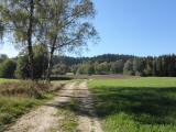  Wanderweg zum Gehft Streith 