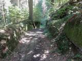  Wanderweg bergab von der Burg 