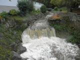  Blick auf den Hochwasser fhrenden Nellingbach 