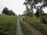  Wanderweg bergan auf dem Faberg 