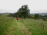  Wanderweg ber Weidewiesen 