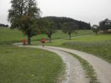  Wanderweg Richtung Seitenstetten 