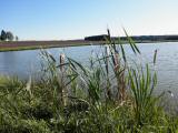  kleiner schner Teich in der Nhe von Loimanns 