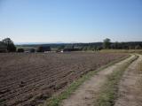  Fernblick nach Reichenbach 