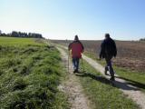  Wanderweg bergan auf dem Gopprechtsberg 