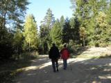  Wanderweg nach Galthof 