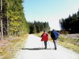  Wanderweg durch den Wald der "Schnauer Leiten" 