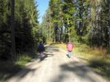  Wanderweg durch den Wald der "Schnauer Leiten" 