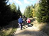  Wanderweg durch den Wald des Eulenbergs 