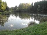  kleiner Teich bei Hrmanns 