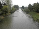  Blick auf die Pielach in Prinzersdorf flussabwrts 