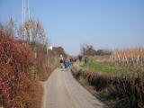  Wanderroute bergan durch die Riede Steinmassel 