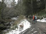  Wanderweg entlang des Sarmingbachs 