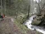  Wanderweg wieder entlang des Sarmingbachs 