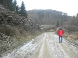  Wanderweg entlang des Reisenbergs 