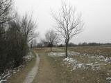  Panoramaweg auf dem Kremser Berg 