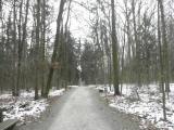  Wanderweg durch den Kaiserwald 