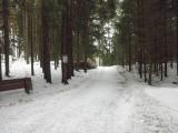  Winterwanderweg durch den Wald 