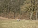  Wanderweg in den Bannholz-Wald 