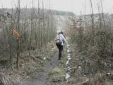  Wanderweg durch den Bannholz-Wald 