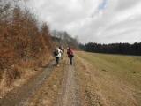  Wanderroute auf schnen Waldwegen 