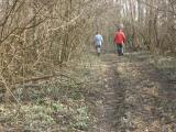  Wanderweg durch die frhlingshafte Au 