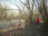  Wanderweg entlang der Pielach 