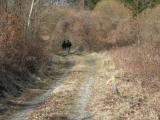  Wanderweg leicht bergan 