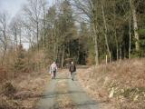  Wanderroute auf schnen Forstwegen 