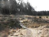  Wanderweg bergab vom Dunkelstein 