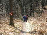  Wanderer bergab vom Dunkelstein 