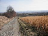  das letzte Wegstck nach Hafnerbach 