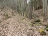  Wanderroute bergan auf schnen Waldwegen 