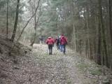  Wanderroute bergan auf schnen Waldwegen 