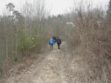  Wanderroute bergan auf schnen Waldwegen 