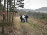  Wanderroute bergan auf schnen Waldwegen 