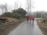  leicht bergab nach Filsendorf 