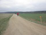  Marathonis auf der Hochebene nach Freischling 