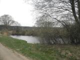  kleiner Weiher in der Nhe von Freischling 