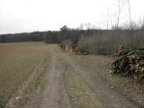  Wanderweg entlang des Wald Raanholz nach Sachsendorf 