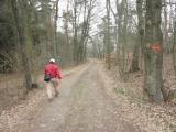  Wanderweg durch den Geiersdorfer Wald 