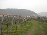  Fernblick nach Weienkirchen in der Wachau 