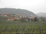  Fernblick nach Weienkirchen in der Wachau 