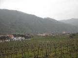  Fernblick nach Wsendorf in der Wachau 