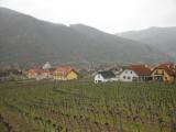  Fernblick nach Wsendorf in der Wachau 