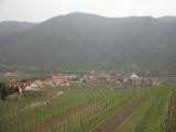  Fernblick nach Wsendorf in der Wachau 