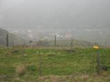  Fernblick nach Wsendorf in der Wachau 