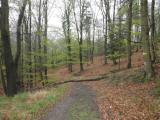  Wanderweg ber den Michaelerberg 