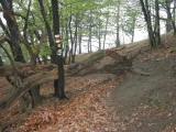  Wanderweg ber den Michaelerberg 